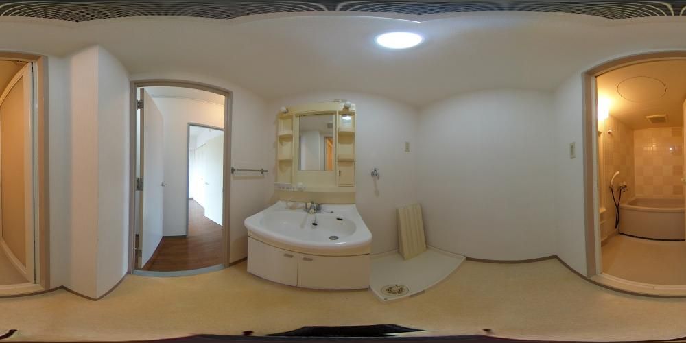 ���ʏ�