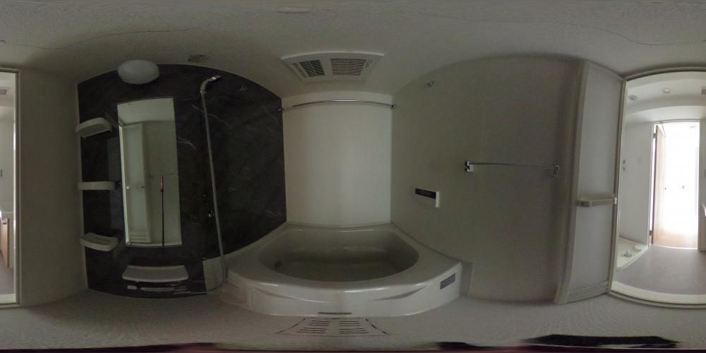 �o�X���[��